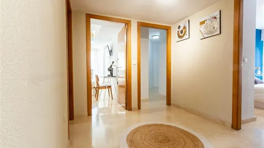 Rooms in Alicante/Alacant - photo 6