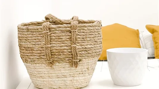 Rooms in Barcelona Sarrià-St. Gervasi - photo 5