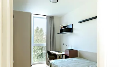 Room for rent in Milano Zona 3 - Porta Venezia, Città Studi, Lambrate, Milan Room for rent in Milano Zona 3 - Porta Venezia, Città Studi, Lambrate, Milan