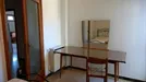 Room for rent, Bologna, Emilia-Romagna, Piazza San Francesco dAssisi