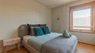 Apartment for rent, Matosinhos, Porto (Distrito), Rua Conde de São Salvador