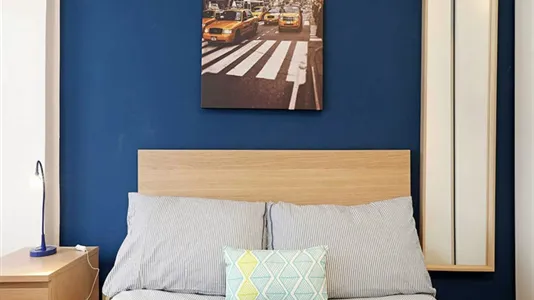 Rooms in Roma Municipio VIII – Appia Antica - photo 5