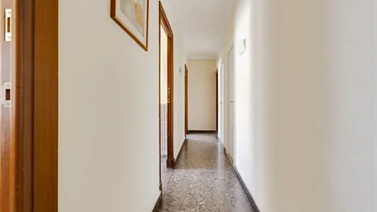 Rooms in Murcia - photo 8