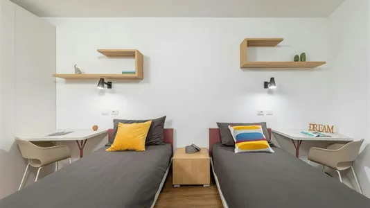 Rooms in Trento - photo 3