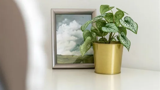 Rooms in Budapest Józsefváros - photo 10