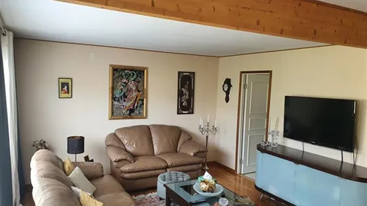 Houses in Gothenburg West - photo 1