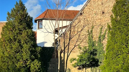 Rooms in Main-Taunus-Kreis - photo 6