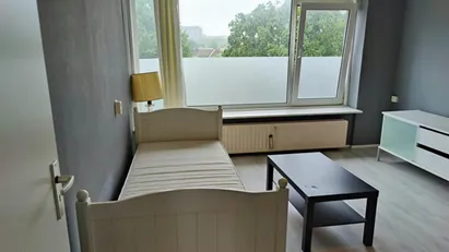 Room for rent in Rotterdam