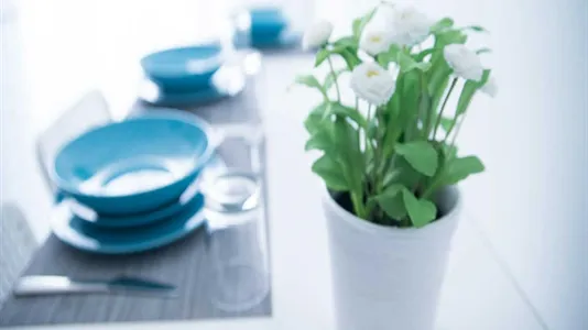 Rooms in Milano Zona 3 - Porta Venezia, Città Studi, Lambrate - photo 9