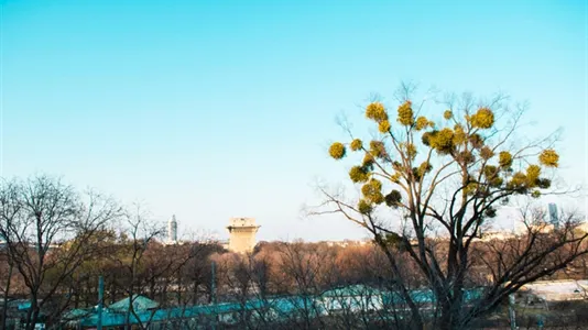 Rooms in Vienna Leopoldstadt - photo 10