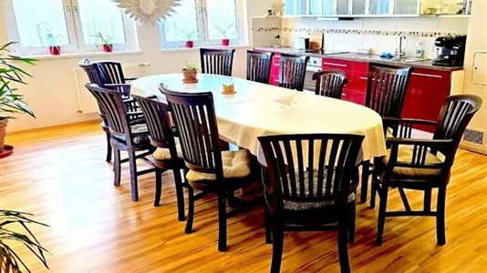 Apartments in Oslip - photo 5