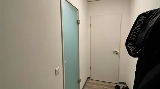 Rooms in Dresden - photo 6