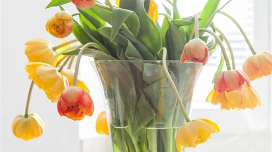 Apartments in Cologne Innenstadt - photo 10