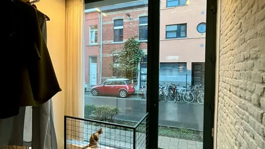 Houses in Leuven - photo 3