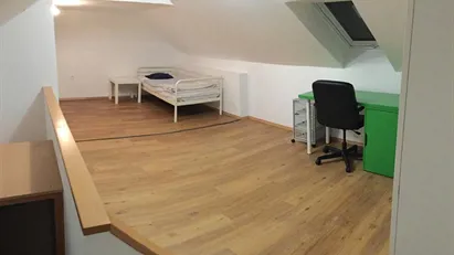 Room for rent in Hoče-Slivnica, Podravska