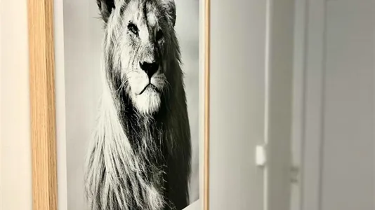 Rooms in Toulouse - photo 7