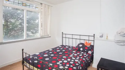 Room for rent in Rotterdam