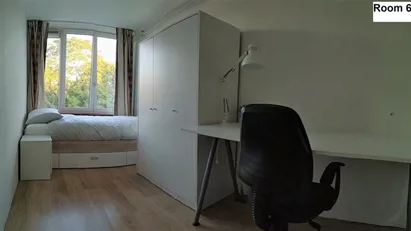 Room for rent in Rotterdam