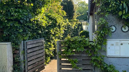 Rooms in Maria Enzersdorf - photo 8