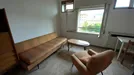 Room for rent, Bologna, Emilia-Romagna, Piazza San Francesco dAssisi