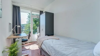 Room for rent in Rotterdam