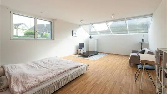 Apartments in Bremgarten - photo 8