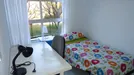 Room for rent, Córdoba, Andalucía, Calle Antonio Maura