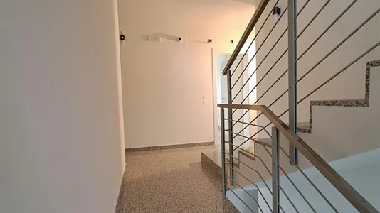 Rooms in Albignasego - photo 3