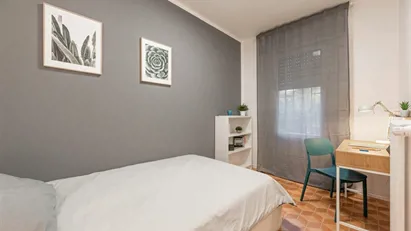 Room for rent in Padua, Veneto