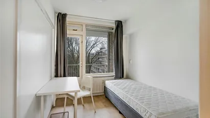 Room for rent in Rotterdam