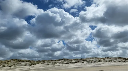 Houses in Westland - photo 8