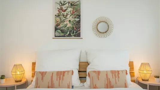 Houses in Waldeck-Frankenberg - photo 5