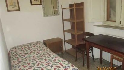 Room for rent in Pisa, Toscana