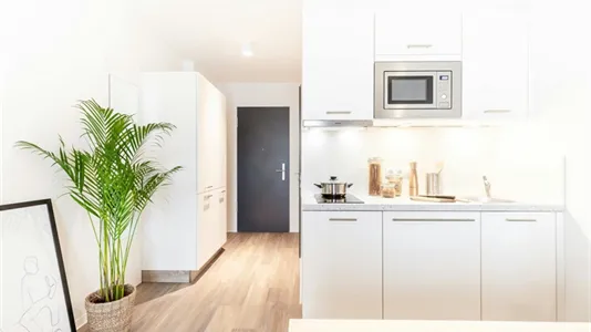 Apartments in Freiburg im Breisgau - photo 4