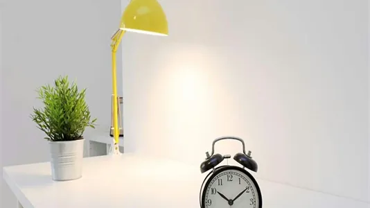 Rooms in Roma Municipio VIII – Appia Antica - photo 7