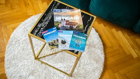 Apartments in Budapest Belváros-Lipótváros - photo 10