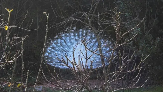 Rooms in Baone - photo 5