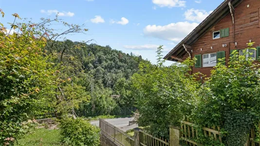 Apartments in Schaffhausen - photo 6