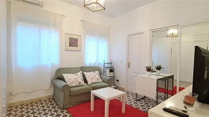 Apartment for rent in Madrid Salamanca, Madrid