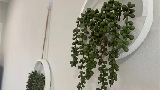 Apartments in Location is not specified - photo 6