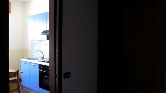 Rooms in Padua - photo 9