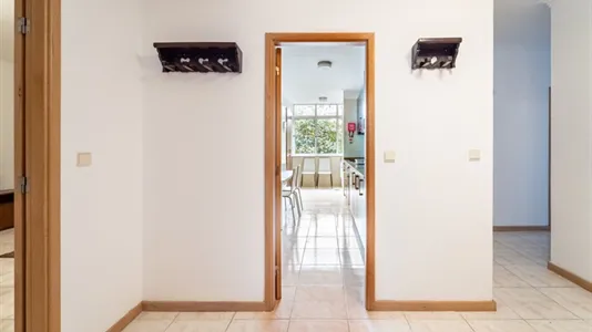 Rooms in Braga - photo 5