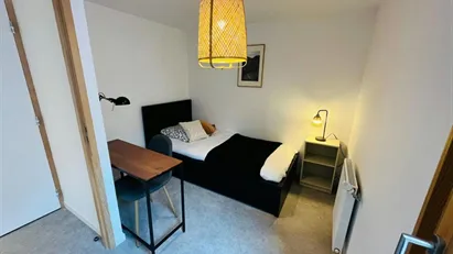 Room for rent in Lyon, Auvergne-Rhône-Alpes