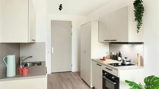 Apartments in Leiden - photo 4