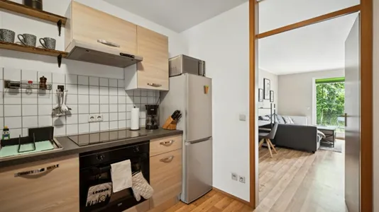 Apartments in Dresden - photo 7