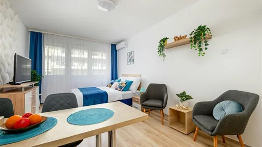 Apartments in Budapest Ferencváros - photo 4