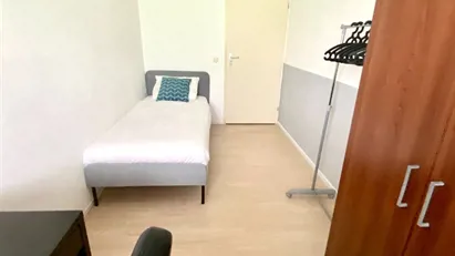 Room for rent in Rotterdam