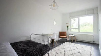 Room for rent in Amsterdam