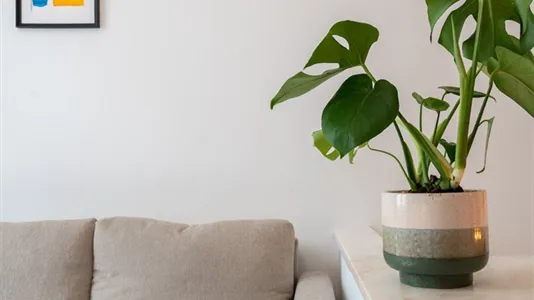 Apartments in Stad Brussel - photo 5