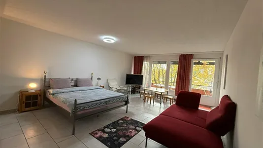 Apartments in Dietikon - photo 5